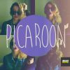 Download track Picaroon (Original Mix)