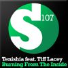 Download track Burning From The Inside (Tenishia's Burnout Mix)