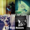 Download track Energetic Resting Kittens