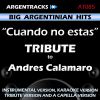 Download track Cuando No Estas In The Style Of Andres Calamaro (Instrumental Version)