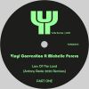 Download track Law Of The Land (Antony Reale Vocal Remix)