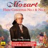 Download track Flute Concerto No. 1 In G Major, K. 313 III. Rondo. Tempo Di Menuetto
