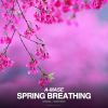 Download track Spring Breathing (Radio Mix)