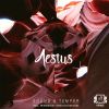 Download track Aestus