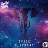 Download track Space Elephant (Original Mix)