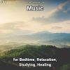 Download track Relaxation Music, Pt. 54