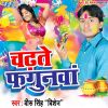 Download track Aapan Pichkari