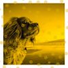 Download track High Class Bossa - Vibe For Resting Dogs