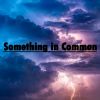 Download track Something In Common