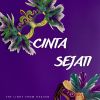 Download track Cinta Sejati