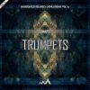 Download track Trumpets (Original Mix)