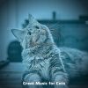 Download track Awesome (Training Cats)