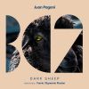 Download track Dark Sheep (Original Mix)