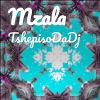 Download track Mzala