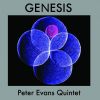 Download track Genesis-Schismogenesis - Stage 3