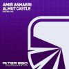 Download track Almut Castle (Radio Edit)