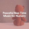 Download track Peaceful Nap Time Music For Nursery, Pt. 19