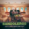 Download track Bandoleros