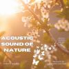 Download track Acoustic Melodies