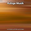 Download track Ruhige Musik Teil 12