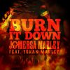 Download track Burn It Down (Instrumental)