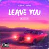 Download track Leave You