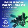 Download track Run From Babylon