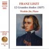 Download track Grandes Études, S. 137 No. 11 In D-Flat Major Lento Assai-Andantino-Allegro Vivace