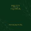 Download track Pretty Flower