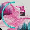 Download track Pleasure (Intelectrica Remix)