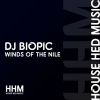 Download track Winds Of The Nile (Biopic Distraction Mix)