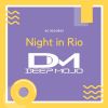 Download track Night In Rio