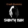 Download track Crash Dummy