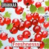 Download track Freshnesss (Radio Edit)