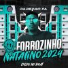 Download track Forrozinho Então Vai No Chão Bandida