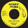 Download track This Is The Place (Instrumental)