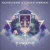 Download track Wild Card (Cymatic Remix)