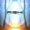 Download track Psychedelic Tools (Rishi Remix)