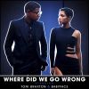 Download track Where Did We Go Wrong