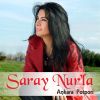 Download track Saray Nur La Ankara Potpori'