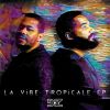 Download track La Vibe Tropicale (Original Mix)