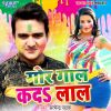 Download track Saali Ke Haudi Me Kude Jija