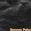 Download track Senyum Palsu