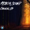 Download track Choices (Original Mix)