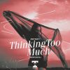 Download track Thinking Too Much (Bouz Remix)