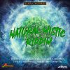 Download track Natural Mistic Riddim Instrumental