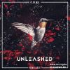 Download track Unleashed (Club Mix)