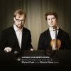 Download track Sonata No. 10 In G Major, Op. 96- IV. Poco Allegretto