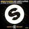 Download track Cry (Just A Little) (A-Trak & Phantoms Remix Edit)