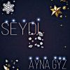 Download track Ayna Gyz